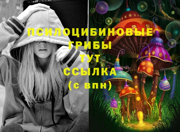 амф Алзамай