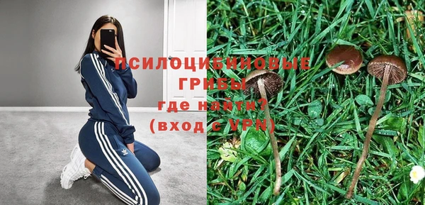 мяу мяу кристалл Алексин