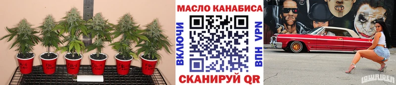 купить закладку  Питкяранта  ТГК THC oil 
