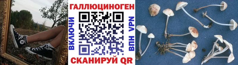 Псилоцибиновые грибы мицелий  Питкяранта 