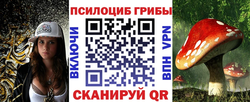 Псилоцибиновые грибы GOLDEN TEACHER Питкяранта