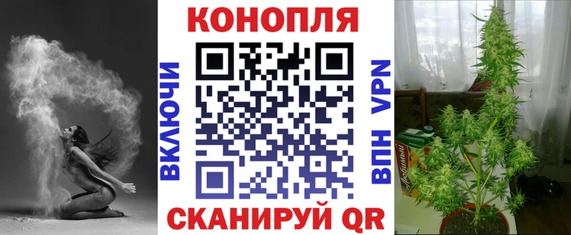 купить наркоту  Питкяранта  Бошки Шишки ГИДРОПОН 